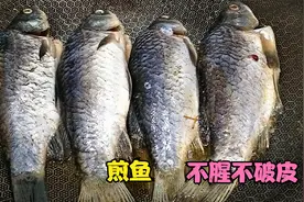 鲫鱼炖粉条时，不要急着下锅，多加3个步骤，鱼不腥不破皮，真香