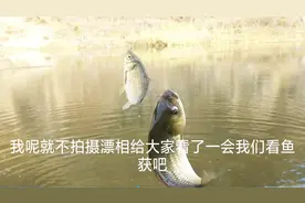 水下全是水草，这样选钓位，鱼口再不好也会有渔获视频封面