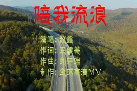 2021最新网络歌曲推荐 赵鑫《陪我流浪》道出了多少流浪者的心声