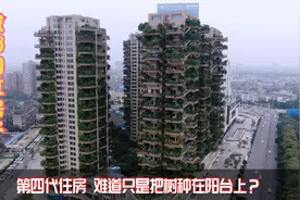 成都的网红空中花园楼盘，每户阳台种满绿植，这承重会不会有问题视频封面