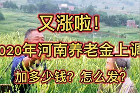 又涨了！2020年河南退休养老金上调，惠及百万人，65岁多发钱视频封面