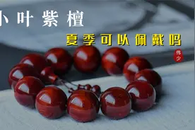 小叶紫檀夏季不宜盘玩？别慌，教你2招让你的紫檀手串安然度夏视频封面