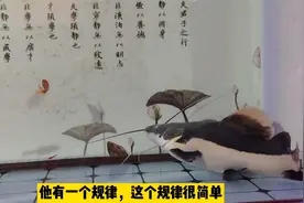 明白自己鱼缸的水流方向，就该知道氧气头和造浪泵放在哪里更合适