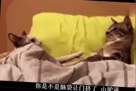 搞笑视频：那今天太累了。别闹了，我今天我真不小。你再叫我生气视频封面