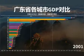 近30年广东省各城市GDP对比，广深领衔，风起云涌，万物变迁！视频封面