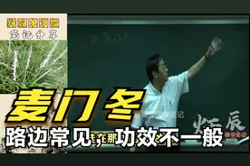 倪海厦讲解麦门冬，路边常见的草，功效可不一般视频封面
