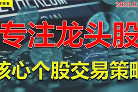 汉王科技6板，指数连续调整，接下来怎么把握机会和风险？视频封面