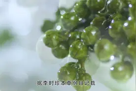 一直都知道吃花椒油对身体好，没想到还有这种好处？视频封面