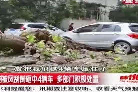 太原突降大雨，20米杨树被风刮倒，砸中旁边4辆车！|都市110视频封面
