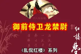 贾蓉的“御前侍卫龙禁尉”是不是清朝的官职名称？视频封面