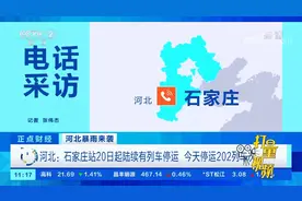 石家庄站20日起陆续有列车停运，停运202列车次|正点财经视频封面