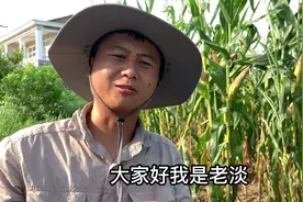 鳝鱼闻到蚯蚓味道就溜出来，一口就咬中了，还意外钓了一条大黄鳝