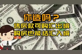 境外人士售房款可购汇出境，购房款也可结汇入境视频封面
