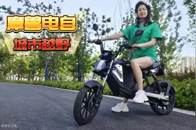 摩兽Pesgo plus详细评测，无需驾照且牌照免费的电动自行车，真爽视频封面
