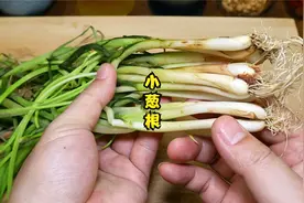 小葱根放锅里炒干，教你老一辈传统做法，解决了老人的烦恼，实用视频封面