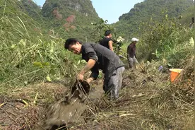 发现小水沟里鱼多，小莫约村民一起抽水抓鱼，捉到很多塘角鱼视频封面