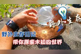 9个野外生存技巧，最后生火那个我服了，你最服哪一个？视频封面