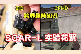 关于SCAR-L跨界对比实验花絮，网友疑问解答
