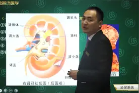 临床-泌尿系统-肾结核02临床型肾结核进一步发展会出现的病理改变视频封面