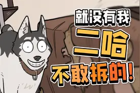 救命！我家二哈把派出所拆了！我会被起诉吗？！视频封面