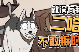 救命！我家二哈把派出所拆了！我会被起诉吗？！视频封面