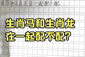 生肖马和生肖龙在一起配不配？视频封面