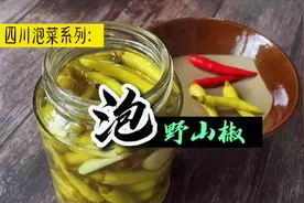 四川泡菜系列：泡野山椒教程来了，炒菜炒饭加点它，别有一番风味视频封面