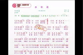 水中花简谱伴奏