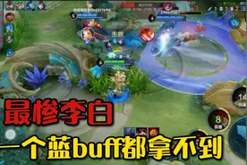 鲁班：有我在，不会让你拿到一个蓝！李白：你们多夺笋啊！视频封面