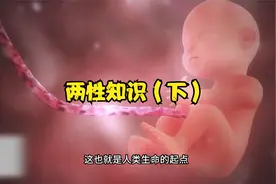 新生命究竟是如何诞生视频封面