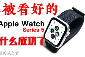 不被看好的Apple Watch为什么成功了？（Apple Watch 5深度评测）视频封面