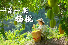 一席一果（二十五）杨桃———里面住着五角星的宝藏水果视频封面