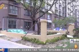 小区一楼业主私自扩院，前垒矮墙后挖沟，燃气管道标志物都不放过视频封面