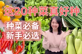 20种好种容易种的蔬菜 + 每种菜的种植诀窍，新手必看，干货分享视频封面