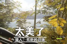 游戏猎人：荒野的召唤 画面设置完了感觉还可以视频封面