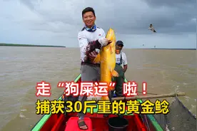 鱼运来了，阿牛捕鱼逮到30斤重的黄金鲶鱼，转手就捞回几趟船费视频封面