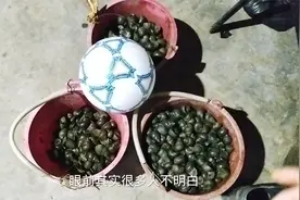 为什么湖南田螺15元一斤，湖北螺3元一斤，其实你们都错了视频封面