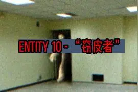 Entity 10 - “窃皮者”