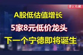 A股：8元以下的价值股，低估值高成长，低价龙头，建议收藏。
