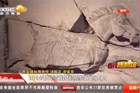 "昭陵六骏"是西安碑林博物馆镇馆之宝，它有何故事？|都市热线视频封面