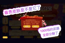 天意解说：1000快的武器全部分解了，就为了这个皮肤，真贵啊