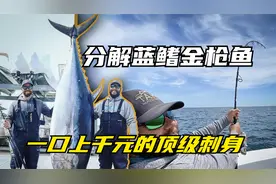 蓝鳍金枪鱼批量捕捞及切割技巧，一口上千元的顶级刺身制作过程