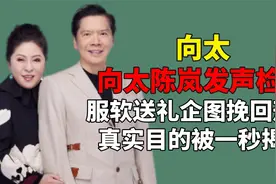 向太陈岚发声检讨，服软送礼企图挽回形象，真实目的被一秒揭穿视频封面