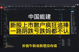 中国能建：新股上市散户疯狂追捧，一路阴跌亏的妈都不认视频封面