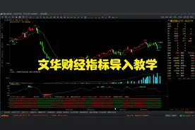 文华财经指标如何导入，多指标监控买卖点清晰