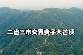 广东广西 两省信宜罗定岑溪三市交界贵子大芒顶视频封面