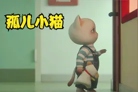 小猫失去了至亲至爱，该怎么坚强的活下去呢，温情动画视频封面