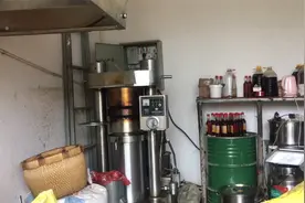 农村榨油作坊，热心老板特地开机演示压榨全过程，买榨油注意哪些