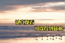 非常治愈的四个镜头，请认真细品视频封面