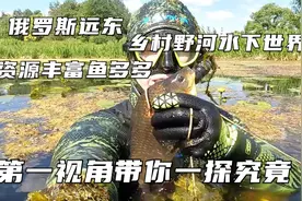 远东乡村野河 水下世界有多丰富 第一视角带你一探究竟视频封面